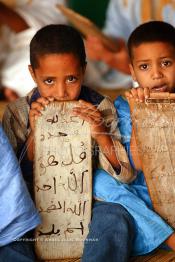 Image du Maroc Professionnelle de  Sous une tente on découvre la méthode traditionnelle de l’enseignement et l’apprentissage du saint coran prodigués aux enfants. Les jeunes récitent les sourates devant le Fkih (instituteur) qui écoute attentivement les versets ainsi récités, Samedi 18 septembre 2006, aux environ de Tan Tan dans un site désertique sur lequel la ville, a toujours accueilli la majorité des tribus et des grandes familles nomades du désert lors d'un grand Moussem, danses chants, course de chameaux et fantasia font partie des festivités. (Photo / Abdeljalil Bounhar)

